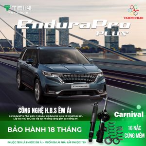 Lắp phuộc nhún TEIN Nhật Bản EnduraPro Plus cho KIA Carnival